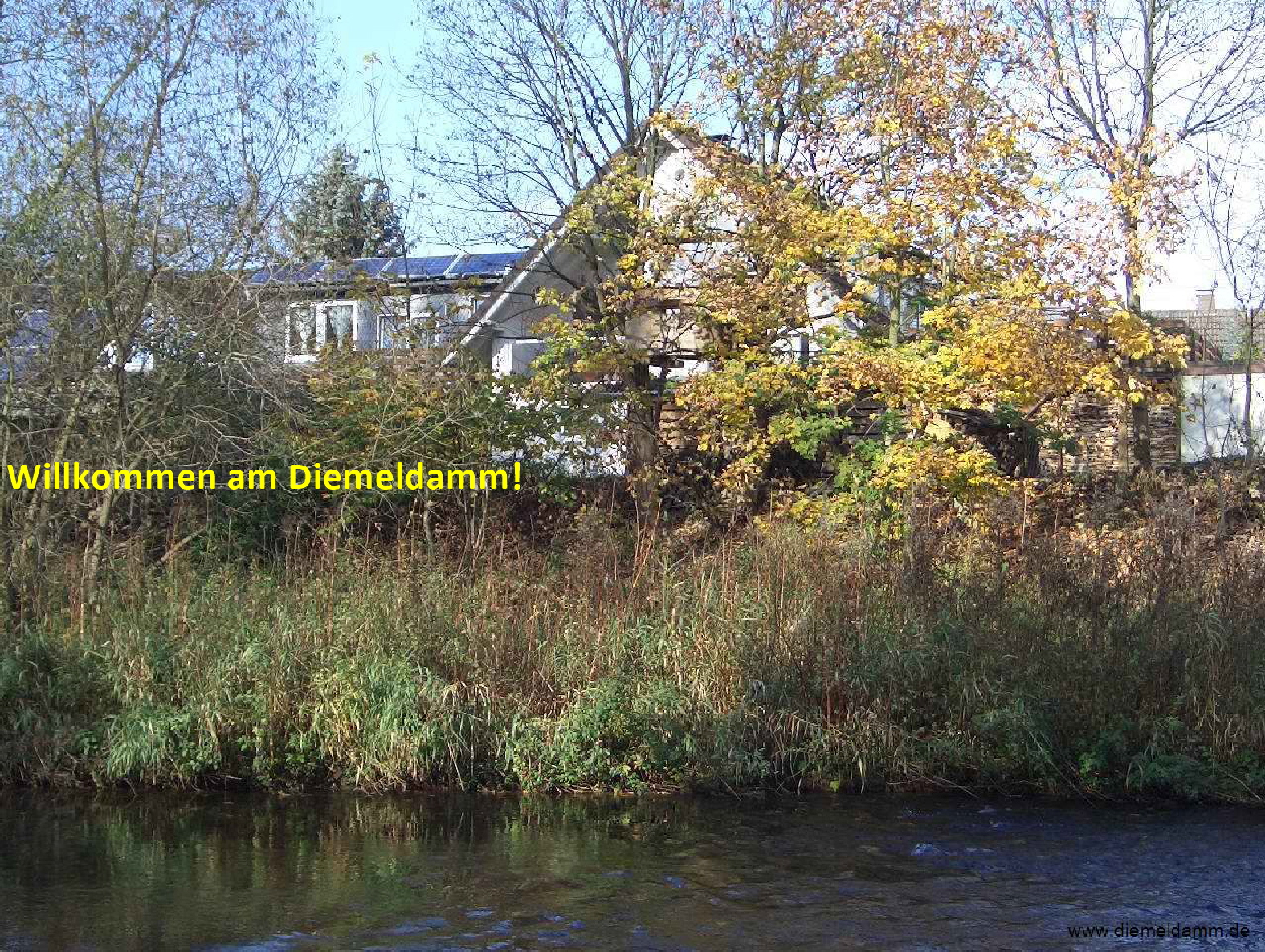 Cimg2696